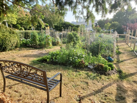 Dr. Bonnie Henry Community Garden 3
