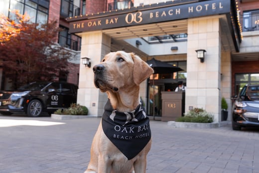 Oak Bay Beach Hotel - Hotel Dog Ella 2