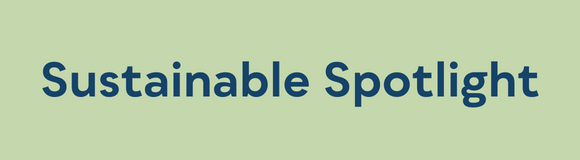 Sustainable Spotlight (580 × 160 px) (1)